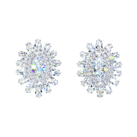 #17069 - Jewel Burst CZ Earrings Earrings - Button Rhinestone Jewelry Corporation