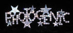 #16137 - Photogenic Stars Pin Pins - Pageant & Crown Rhinestone Jewelry Corporation