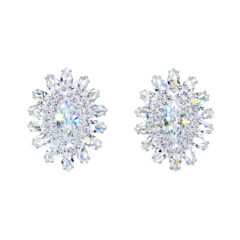 Earrings - Button #17069 - Jewel Burst CZ Earrings