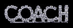 #17108 COACH pin