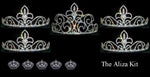 #16333 - Aliza Prom and Homecoming Court Kit